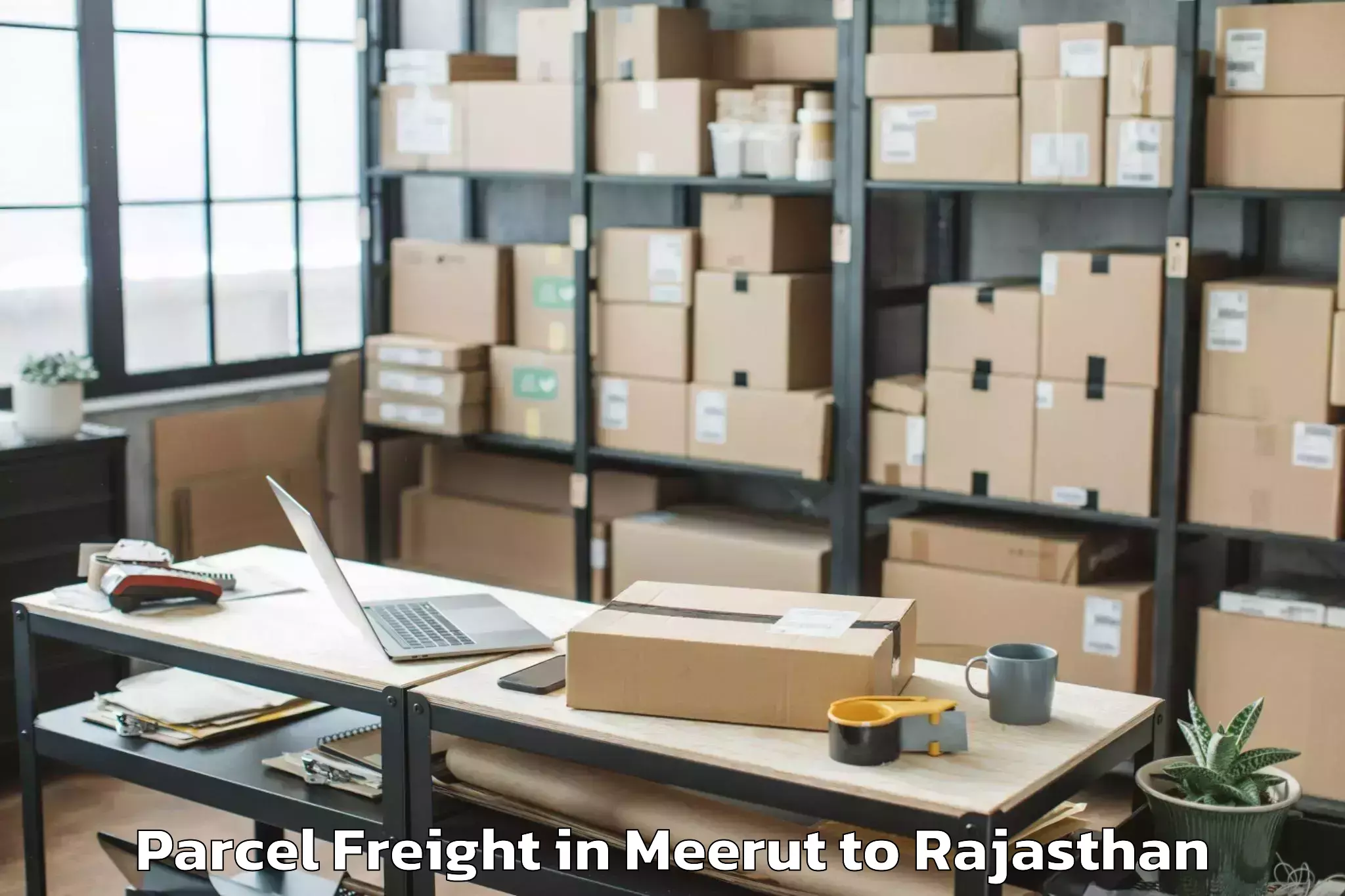 Professional Meerut to Opjs University Churu Parcel Freight